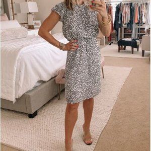 Ruffled Sleeves Shift Dress